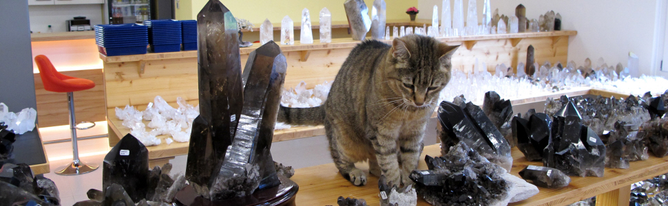 Rauchquarz mit unser Katze