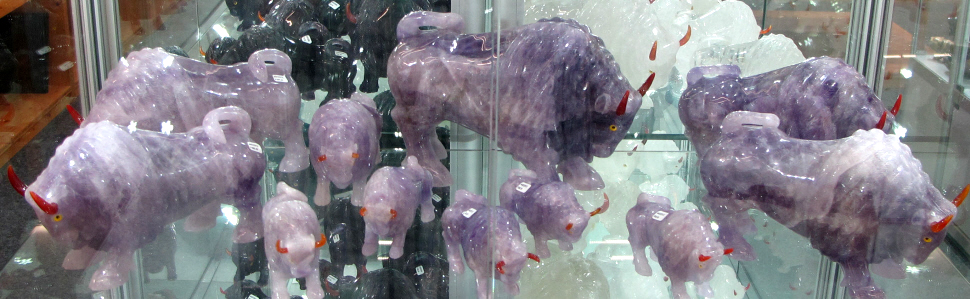 Bison