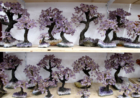 Amethyst Bonsai Bäume