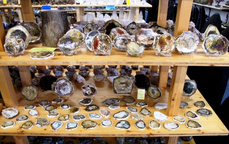 Versteinertes Holz